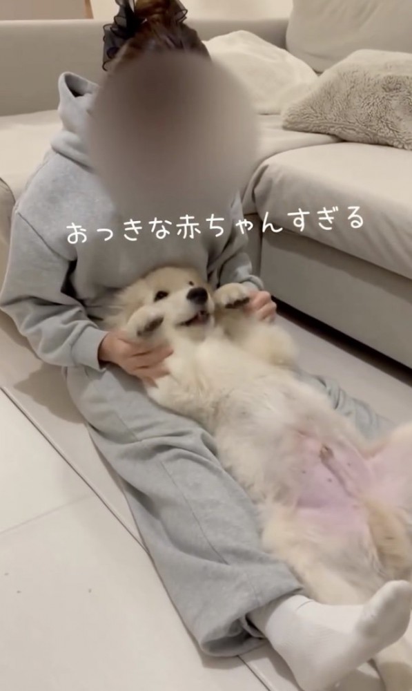 おててフリフリ〜