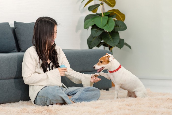 女性にお手をする犬