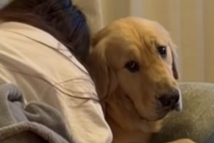 犬を抱きしめながら泣く女性