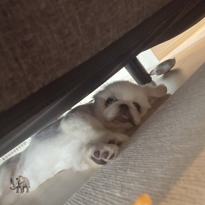無防備
