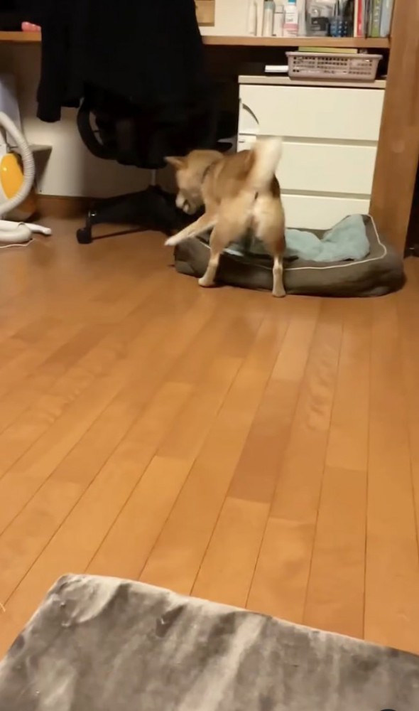 落とせた