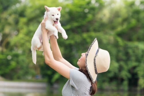 白柴を抱きかかえる女性