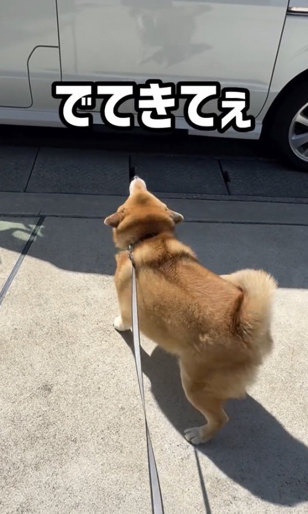はやく！！