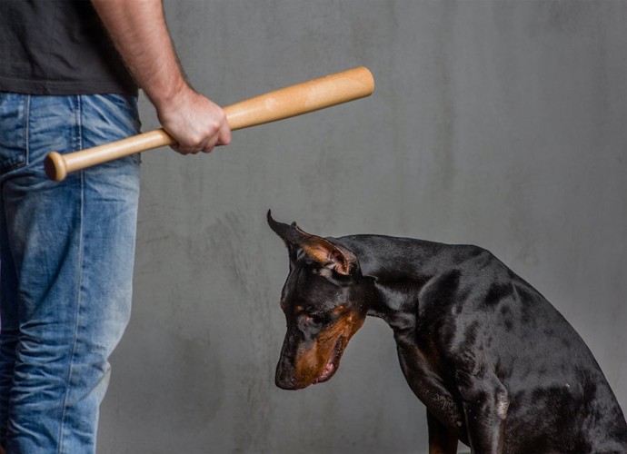 バットを持っている飼い主と怖がって下を向いている犬