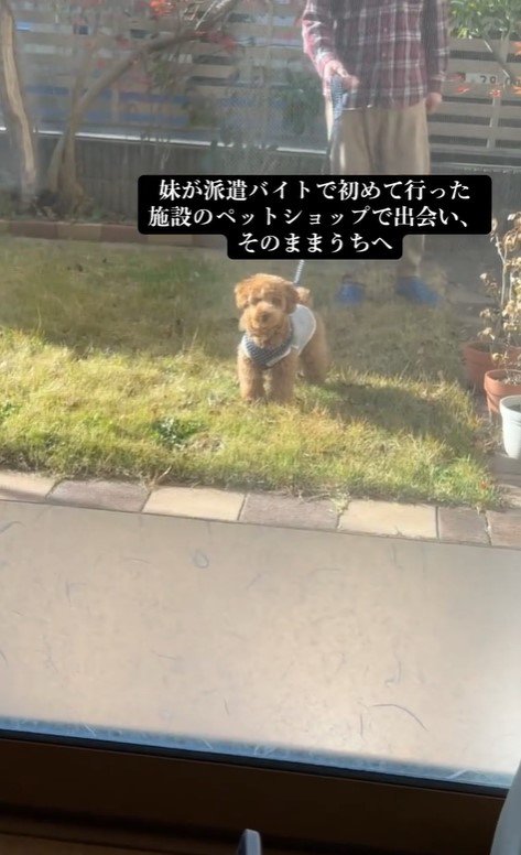 アルくんとの出会い4