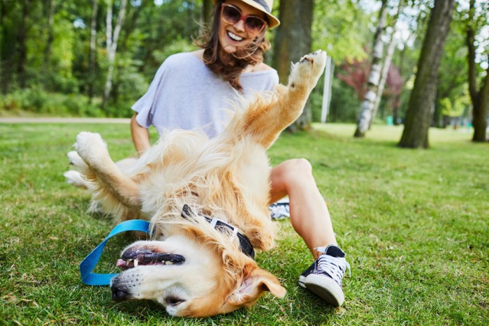 女性の目の前で仰向けになる犬