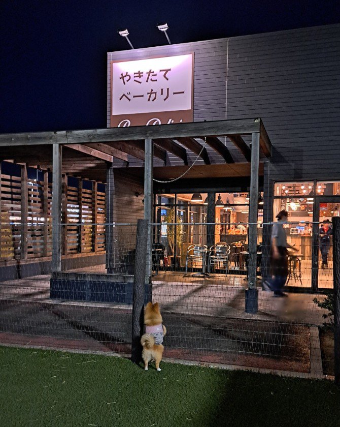 食いしん坊で可愛い♡