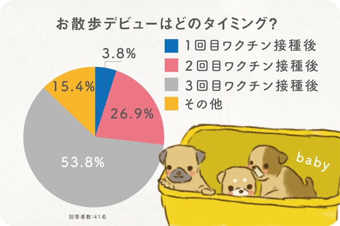 お散歩デビュー（地面を歩く）はどのタイミング？