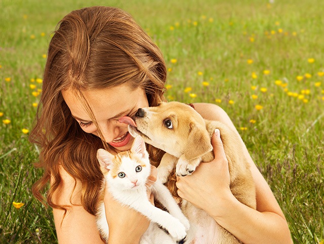 飼い主と犬