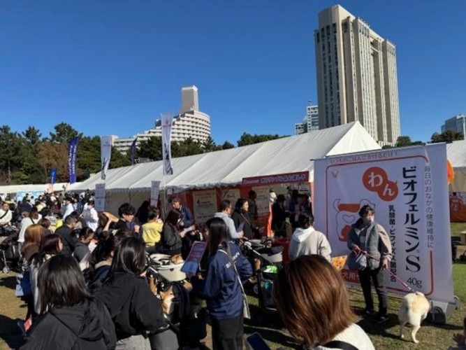 わんビオフェルミンSブース