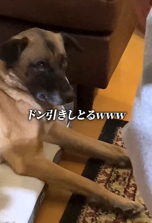 パパが熱唱している時のアキちゃん3