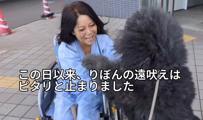 遠吠えはぴたりとやんだそう