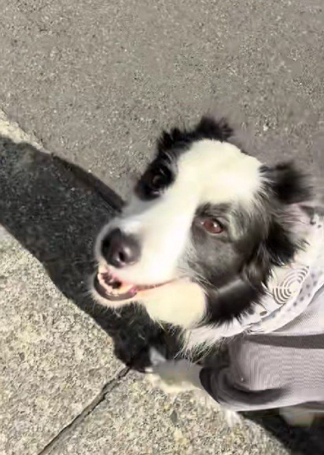 感情表現豊かでかわいい♡