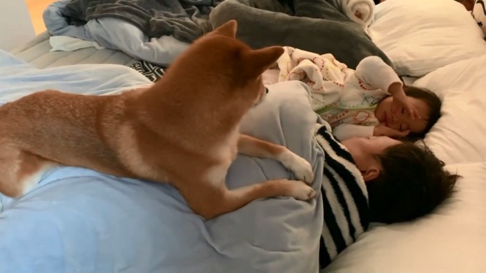 全然起きないパパ