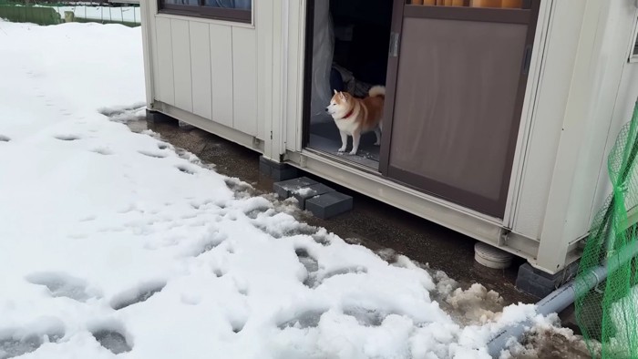 真っ白な雪が眩しい