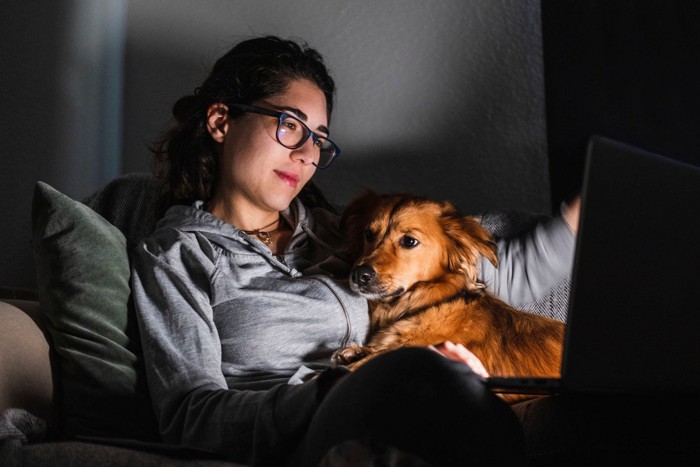 飼い主と夜更かしする犬