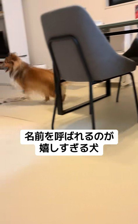 名前を呼ばれた時のリックくん7