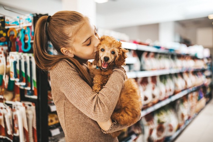 抱かれたトイプードルの子犬