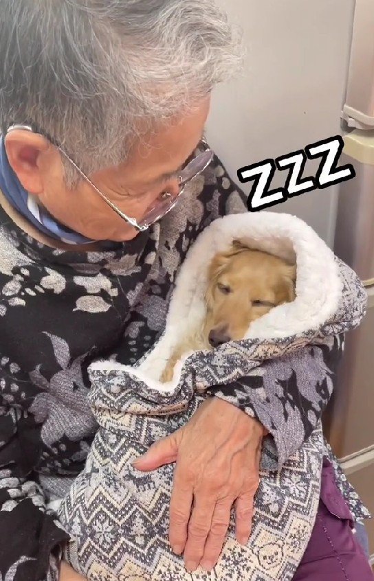 本当に寝ちゃった！！