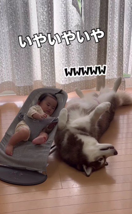 寝てるのはたぬきちちゃん!
