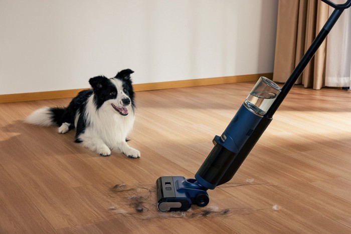 掃除機と犬