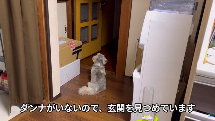玄関をじーっ