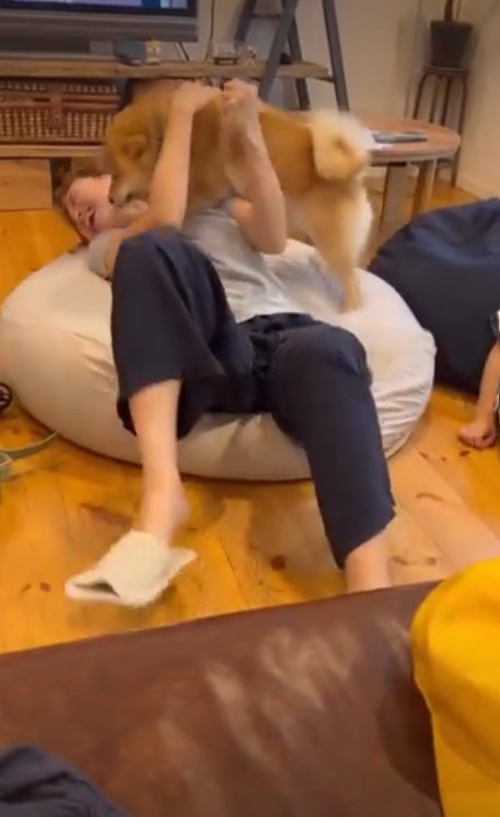 お母さんと遊ぶ犬2