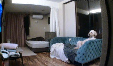 ソファに座ってテレビを観ていた！！