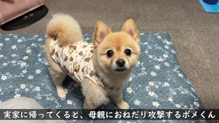 「ばあば、忘れてない…？」