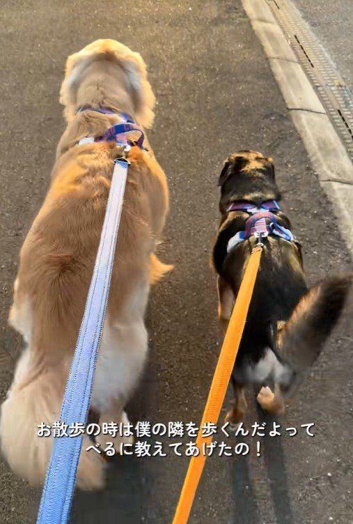 べる君とばむ君