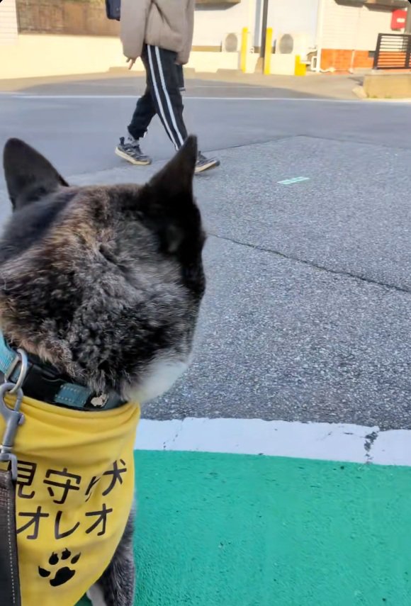 小学生を見守るオレオくん