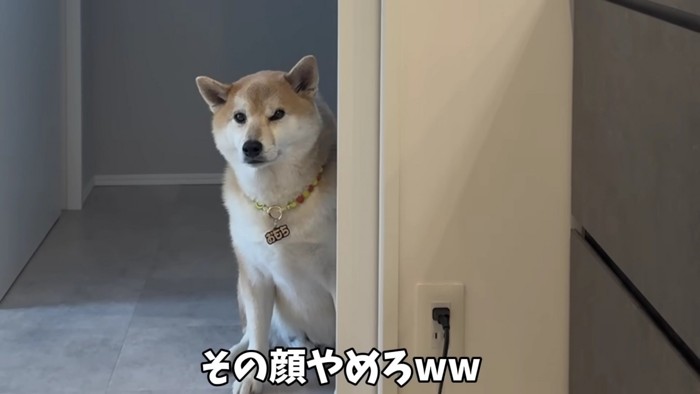 「またあそこ行きたい…」