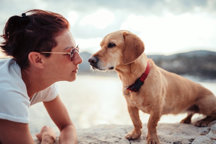 無理やり目を合わせようとする女性と犬