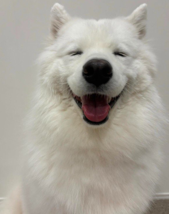 フワフワのくららちゃん