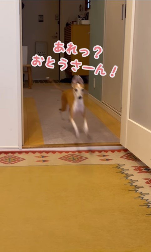 ことぶきちゃんにドッキリ4