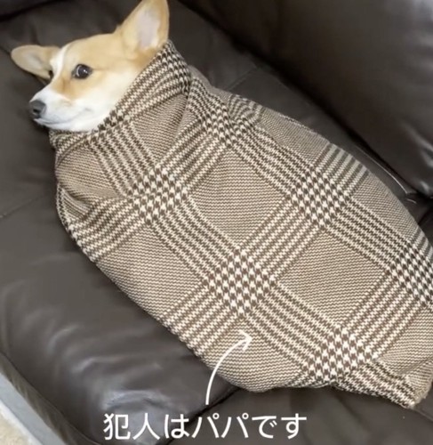 パパが犯人