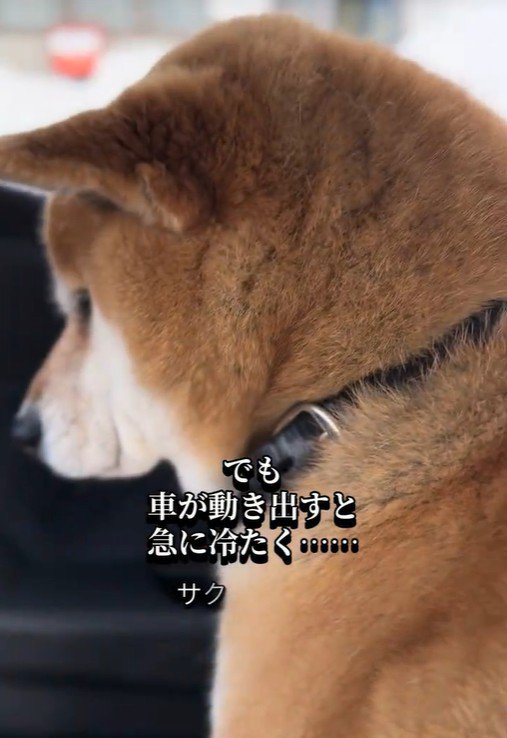 朔くんの態度が一変！