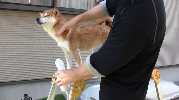 ドライヤー中もお利口さん