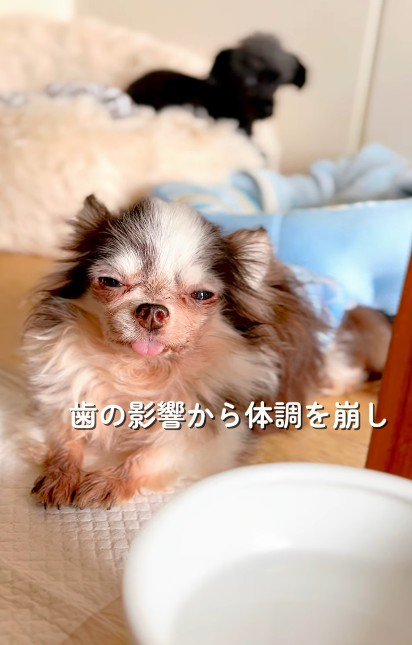 すべて抜歯することに