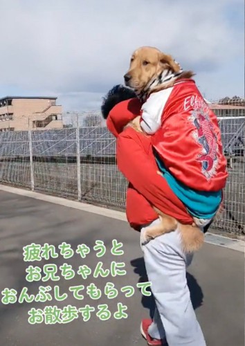 後ろを振り返る犬