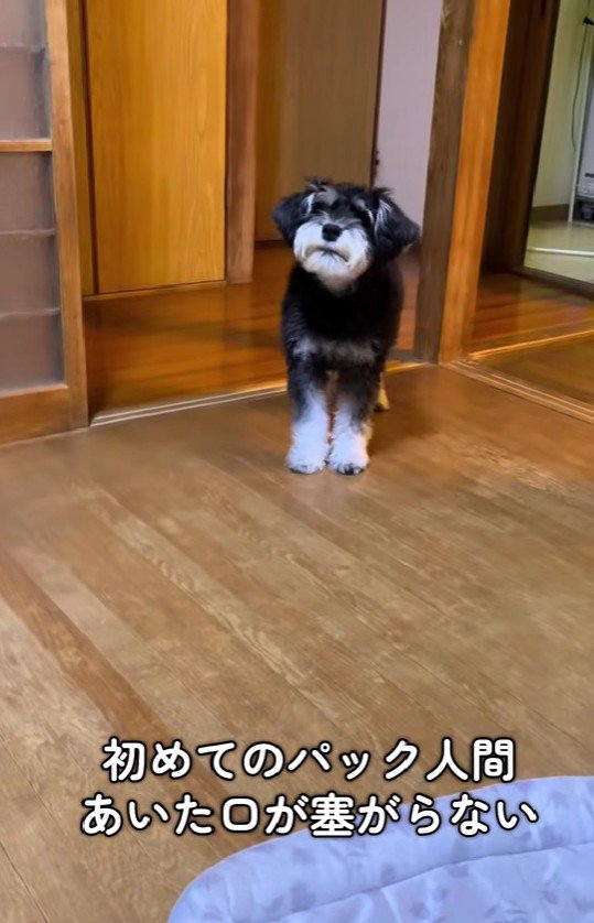 「ママはどこ！」