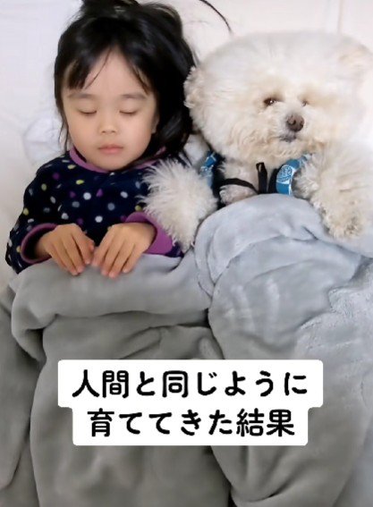 女の子と寝るわんこ