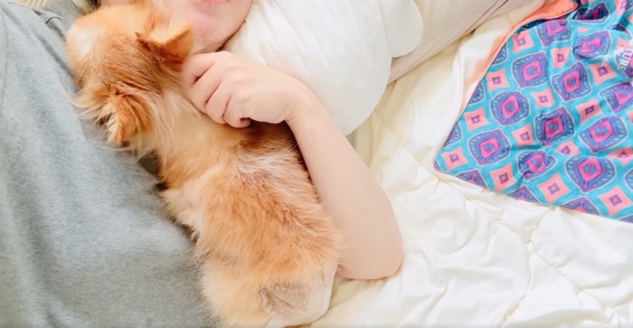 犬を撫でる女性