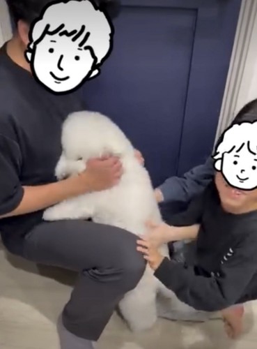 揉みくちゃになる犬