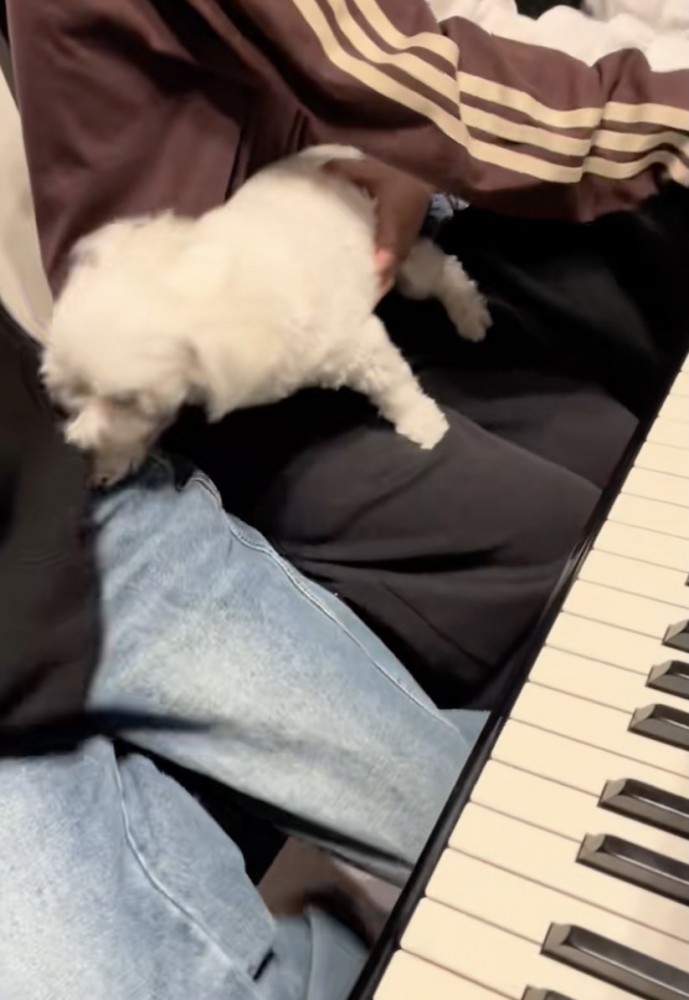 「母としての自覚」に突き動かされてる…？