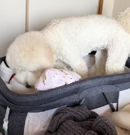 体勢を整えて…