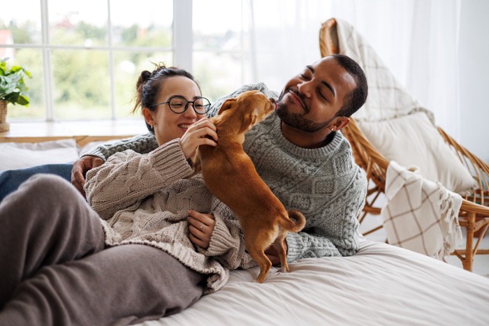 夫婦と犬