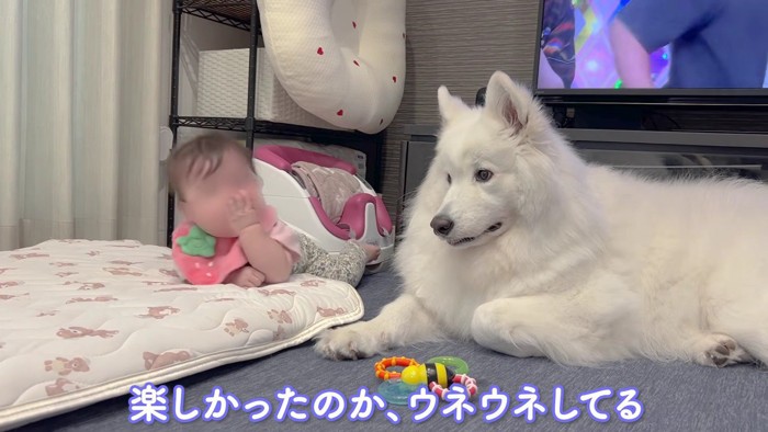 とっても楽しかった♪
