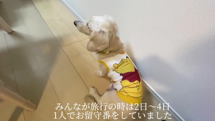 数日間ひとりぼっちで過ごすことも…