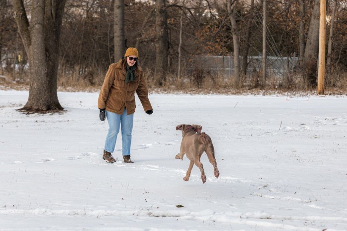 飼い主の元に走る犬の後ろ姿